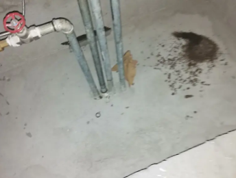 黄石卫生间测漏水价格明细