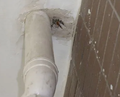 黄石漏水检测哪家好